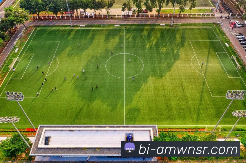 威尼斯人娱乐官网平台生态图