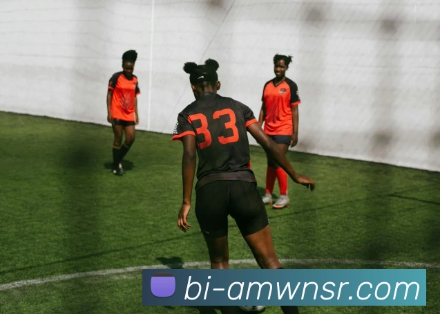 威尼斯人娱乐官网APP 封面图